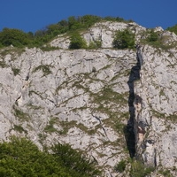 Abruptul Bedeleu