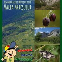Descoperă ariile protejate de pe Valea Arieşului