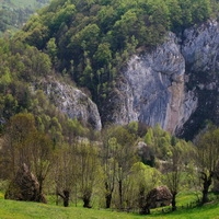 Huda lui Papara si Vanatarea